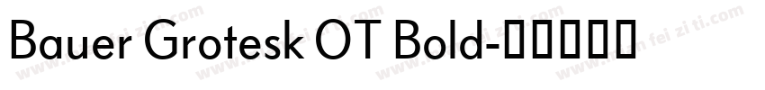 Bauer Grotesk OT Bold字体转换